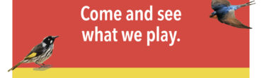 STCO See What We Play